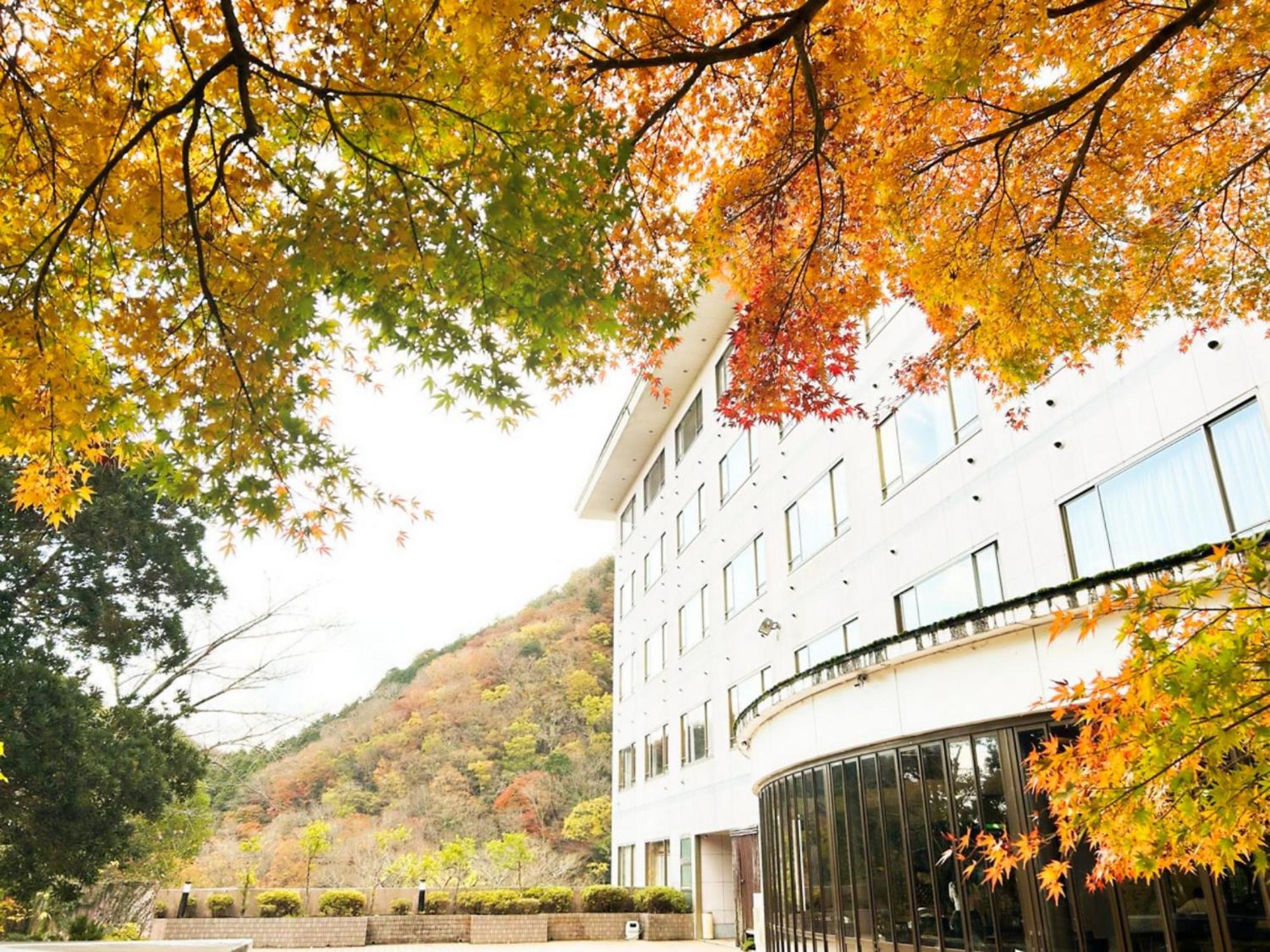 Shuzenji Onsen Hotel Takitei Идзу Экстерьер фото